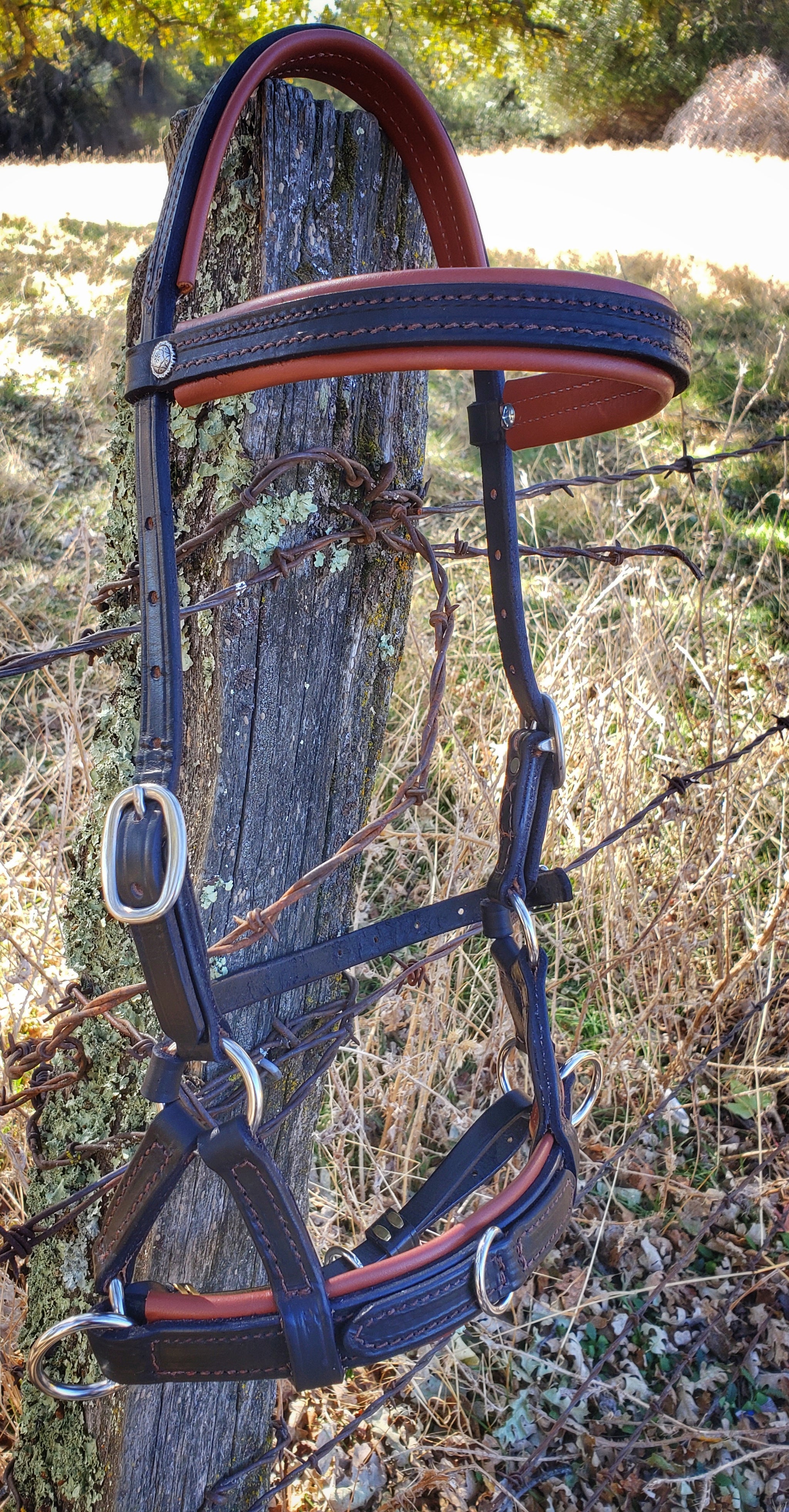 Peerless ピアレス BTB-MULE pee4005000_wbv_2.jpg