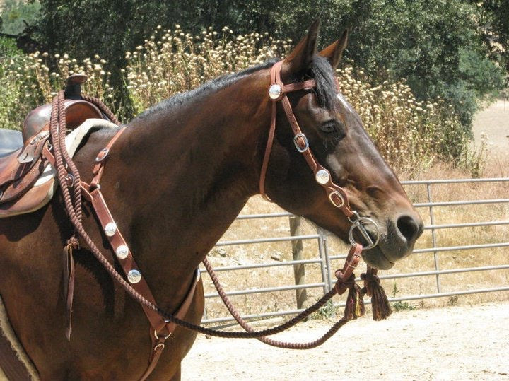 Horse Tack - Harris Leather Western Bosal & Mohair Mecate avec Horse Tack - Harris Leather Western Bosal & Mohair Mecate avec