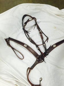 Antique Turquoise Headstall and Breast Collar Set