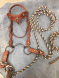 Tooled Leather Headstall with Reins
