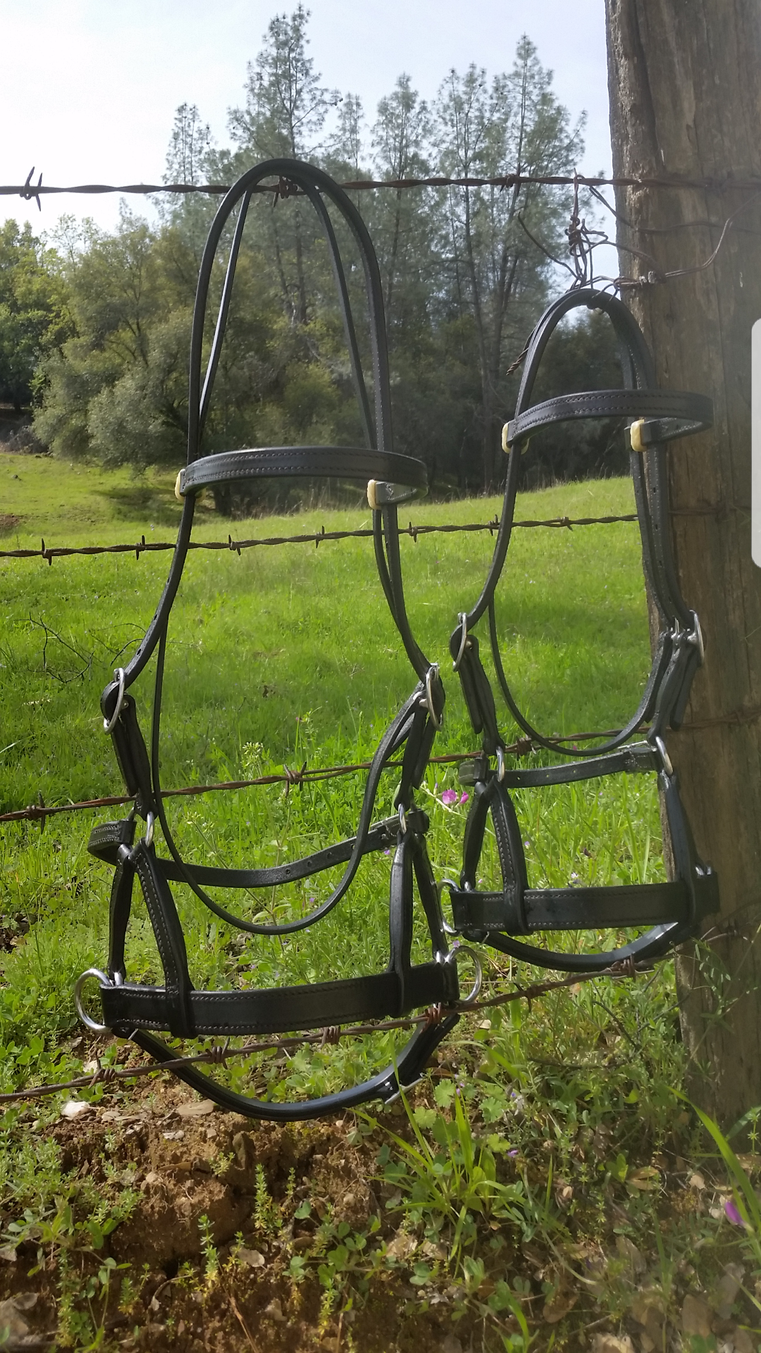 小物 2023 BRIDLE POROSUS / PALM-V2 Schneiders® Basketweave Futurity Browband Ranch Headstall