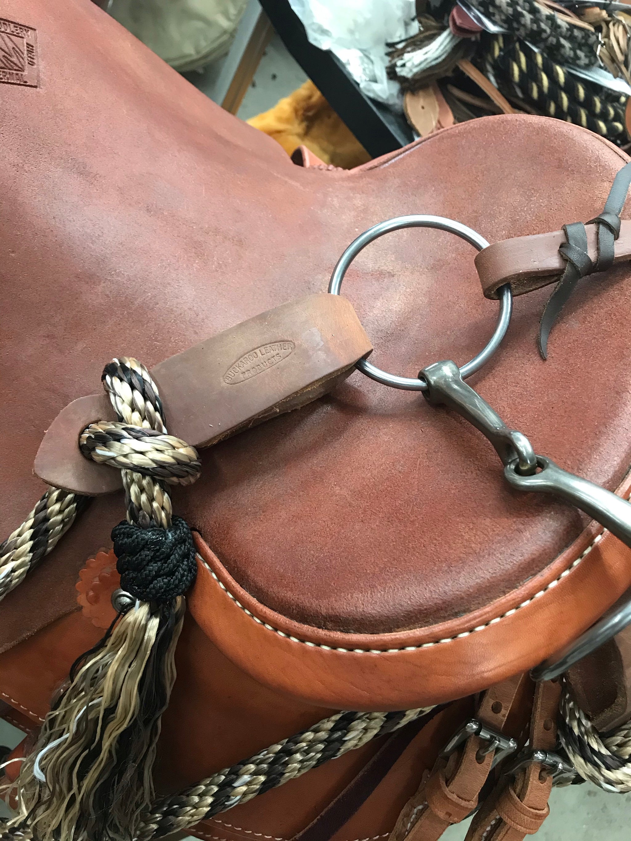 How to Fit a Cavesson - Quarter Horse News How to Fit a Cavesson - Quarter Horse News