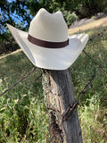 Buckaroo Tumbleweed Palm Hat