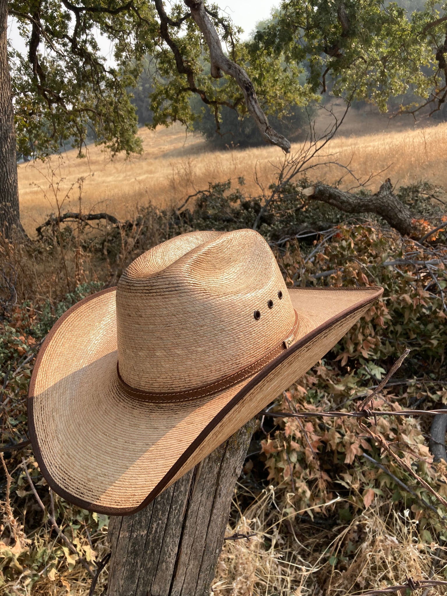 Resistol palm leaf cowboy top hats