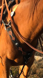 The Majestic Collection Headstall