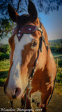 The Majestic Collection Headstall