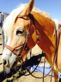 Ultimate Sidepull Headstall Leather Nose