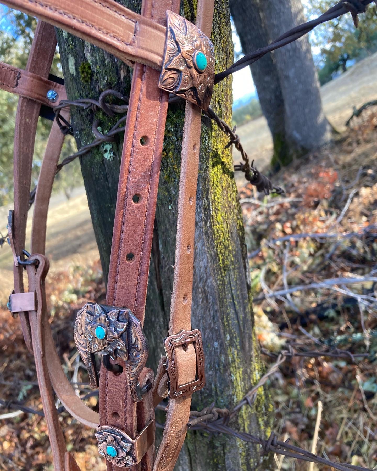 Copper Star Headstall, Hermann Oak® Leather – Buckaroo Leather Products