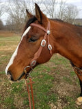Quality Leather Horse Headstall Made in USA