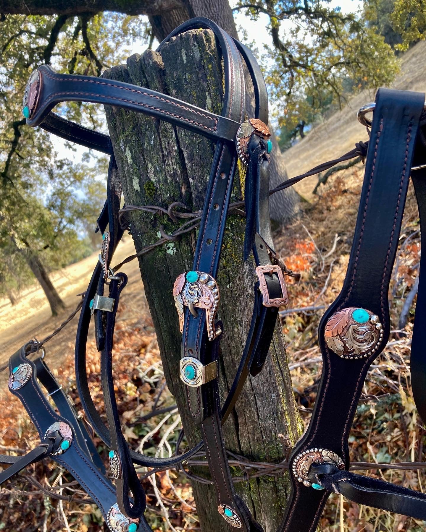 Copper Star Headstall, Hermann Oak® Leather – Buckaroo Leather Products