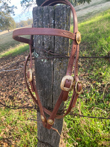 Brass Harness Headstall